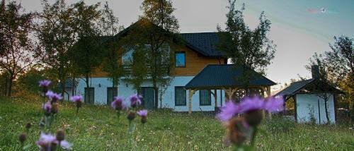 Agroturismo Maramures Landscape