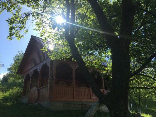 Agroturismo Pensiunea Alina