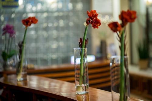 Hotel Park Sfantu Gheorghe