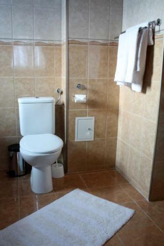Hostal Conacul Samfirei