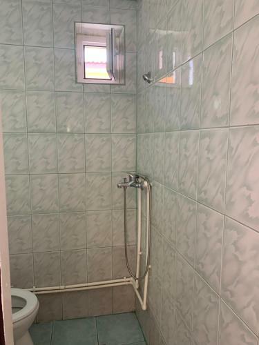 Hostal Casa Ghemus Costinesti