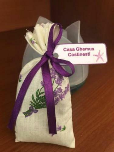 Hostal Casa Ghemus Costinesti