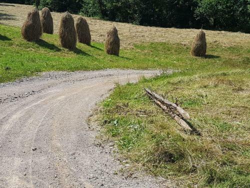 Agroturismo Pensiunea Maria-bucovina