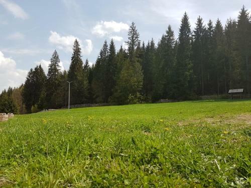 Agroturismo Pensiunea Maria-bucovina