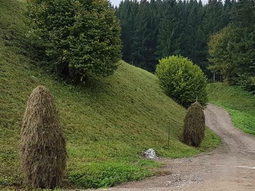 Agroturismo Pensiunea Maria-bucovina