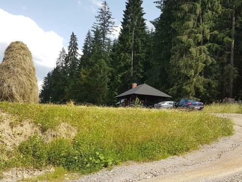 Agroturismo Pensiunea Maria-bucovina