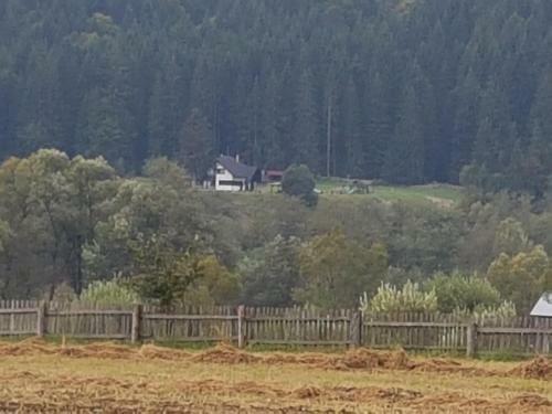 Agroturismo Pensiunea Maria-bucovina