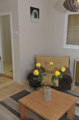 Golden House Apartments