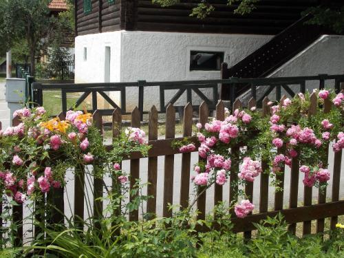 Apartment Matogi