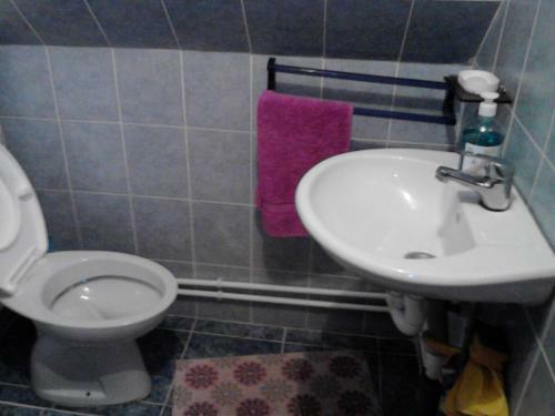 Apartment Skulova Vodenica