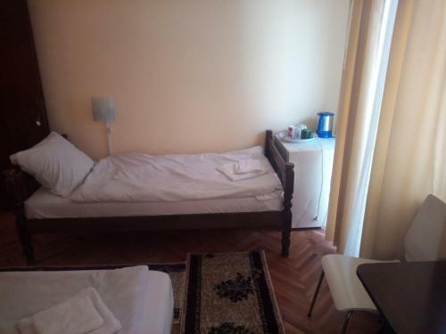 Hostal Guest House Vila Vlasta