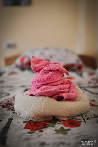 Hostal Guest House Vila Banjica