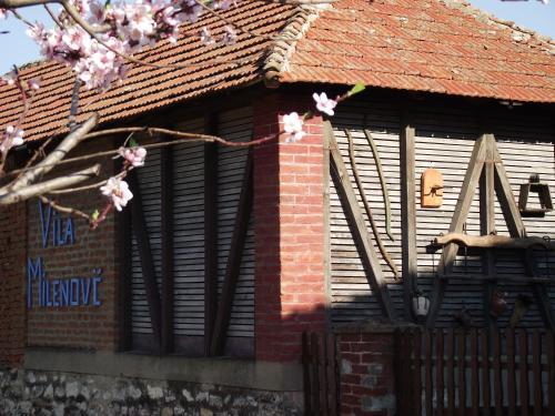 Bed & Breakfast Vila Milenovic Rajacke Pivnice