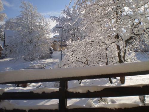 Apartments Vila Velickovic