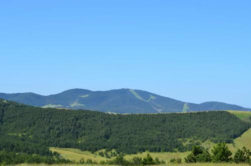 Apartamento Zlatibor Hills Kneginja