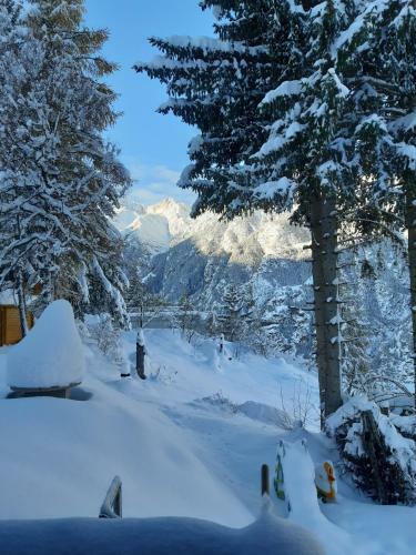 Chalet Sven & Marc Gr�chen/st. Niklaus Vs