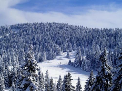 As Lux Apartmani Kopaonik