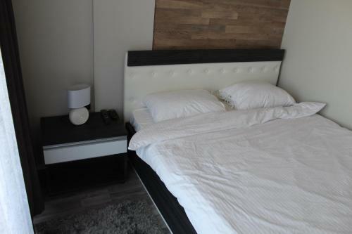As Lux Apartmani Kopaonik