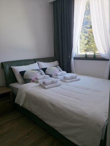 Apartment Dragana Kopaonik