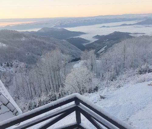 Apartamentos Topview Kopaonik C4-dvori