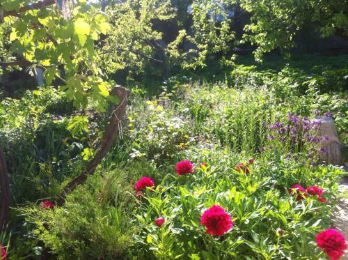 Hostal Guest House Vysoky Bereg