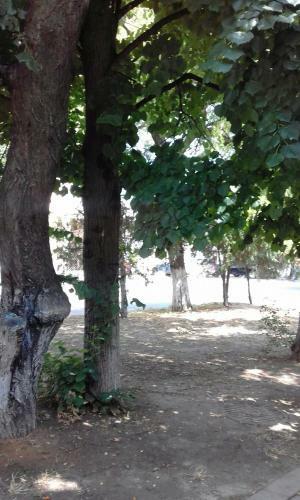 Hostal Guest House Vysoky Bereg