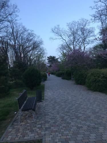 Apartment On Tamanskaya 24