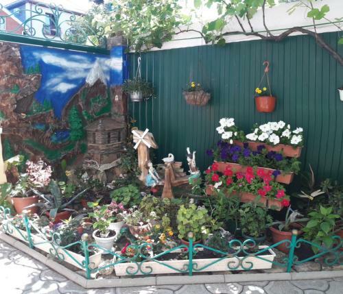 Hostal Guest House On Novorossiyskaya