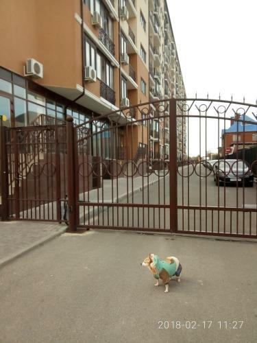 Apartment Na Tamanskoy