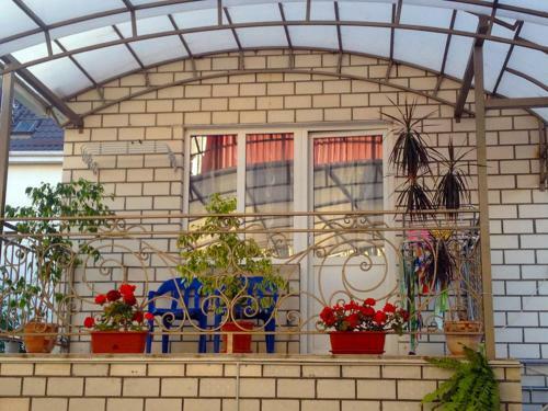Hostal Guest House Kristina