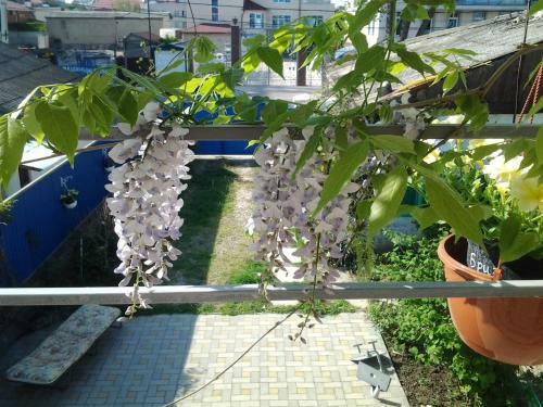 Hostal Guest House Anastasiya