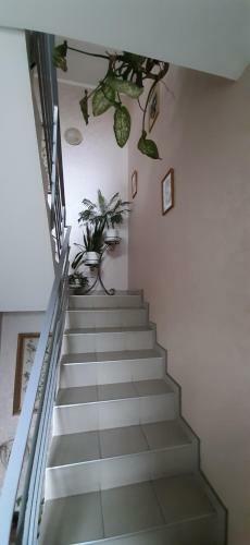 Hostal Guest House Anastasiya