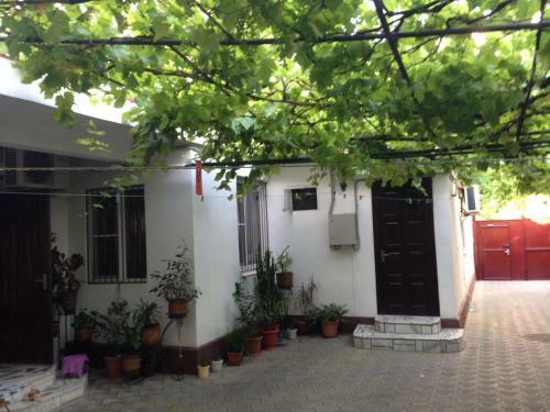 Hostal Guest House Lilia