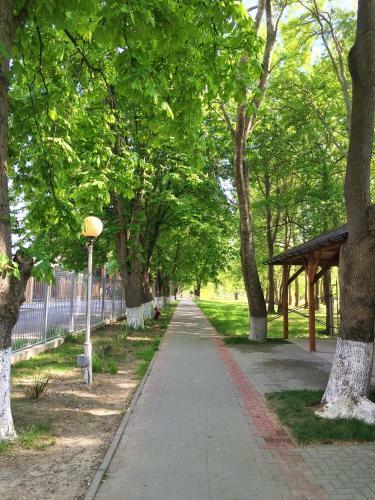 Hostal Zolotoy Kashtan Guest House