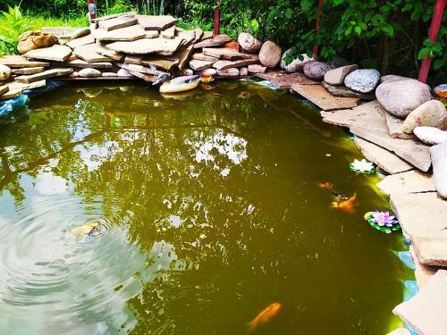 Hostal Guest House Kalinka
