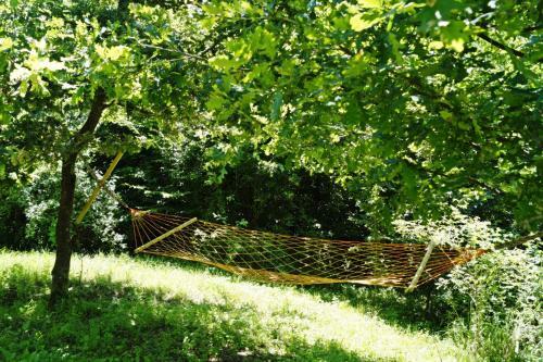 Hostal Guest House Kalinka