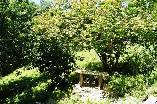 Hostal Guest House Kalinka