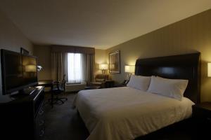 Hotel Hilton Garden Inn Toronto/brampton