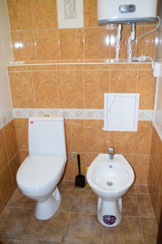 Apartment Vershina