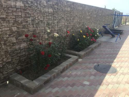 Hostal Guest House Nadezhda