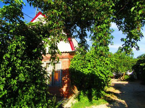 Agroturismo Country House On Chapaeva