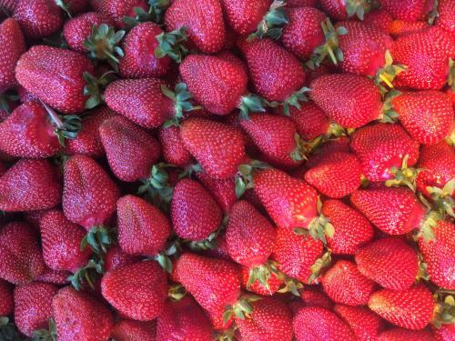 Holiday Home At Frunze