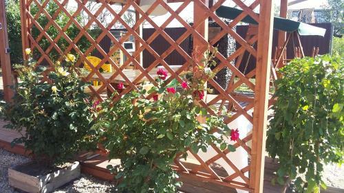Agroturismo Country House Eko Usadba