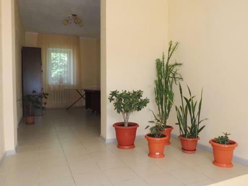 Hostal Guest House Kollektivnaya 16a