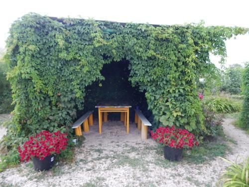Hostal Gostevoy Dom Anastasiya