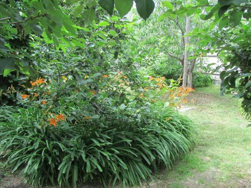 Hostal Gostevoy Dom Anastasiya