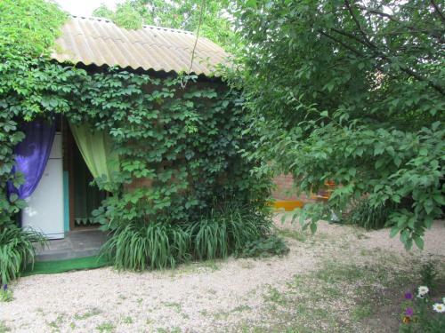 Hostal Gostevoy Dom Anastasiya