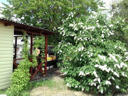 Hostal Guest House Veronika