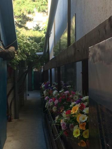 Hostal House In Gelendzhik Centre