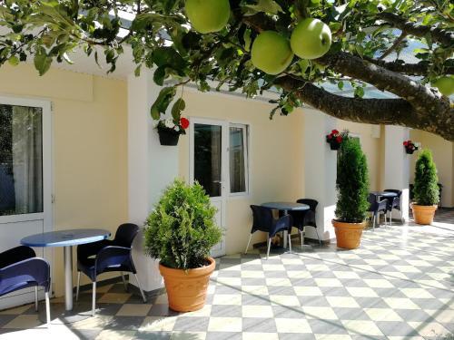 Hostal Guest House Mojito